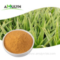 Aloe Vera Extract Aloin Powder Aloe Emodin 95%